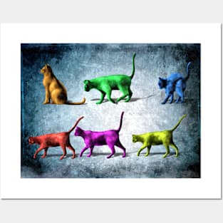 Cats in Color Posters and Art